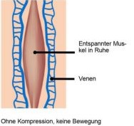 Musek-Ruhe